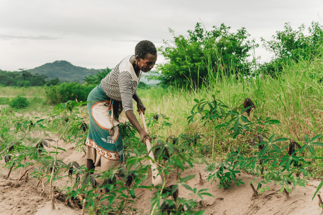 Malawi